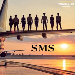 Curso de Sistemas de Gestion de la Seguridad Operacional - SMS 20 horas