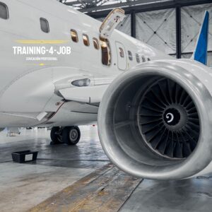 Curso de Mantenimiento del Boeing 737 NG - 120 horas Virtual en Vivo